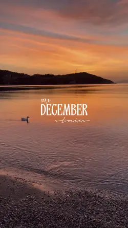 my December stories