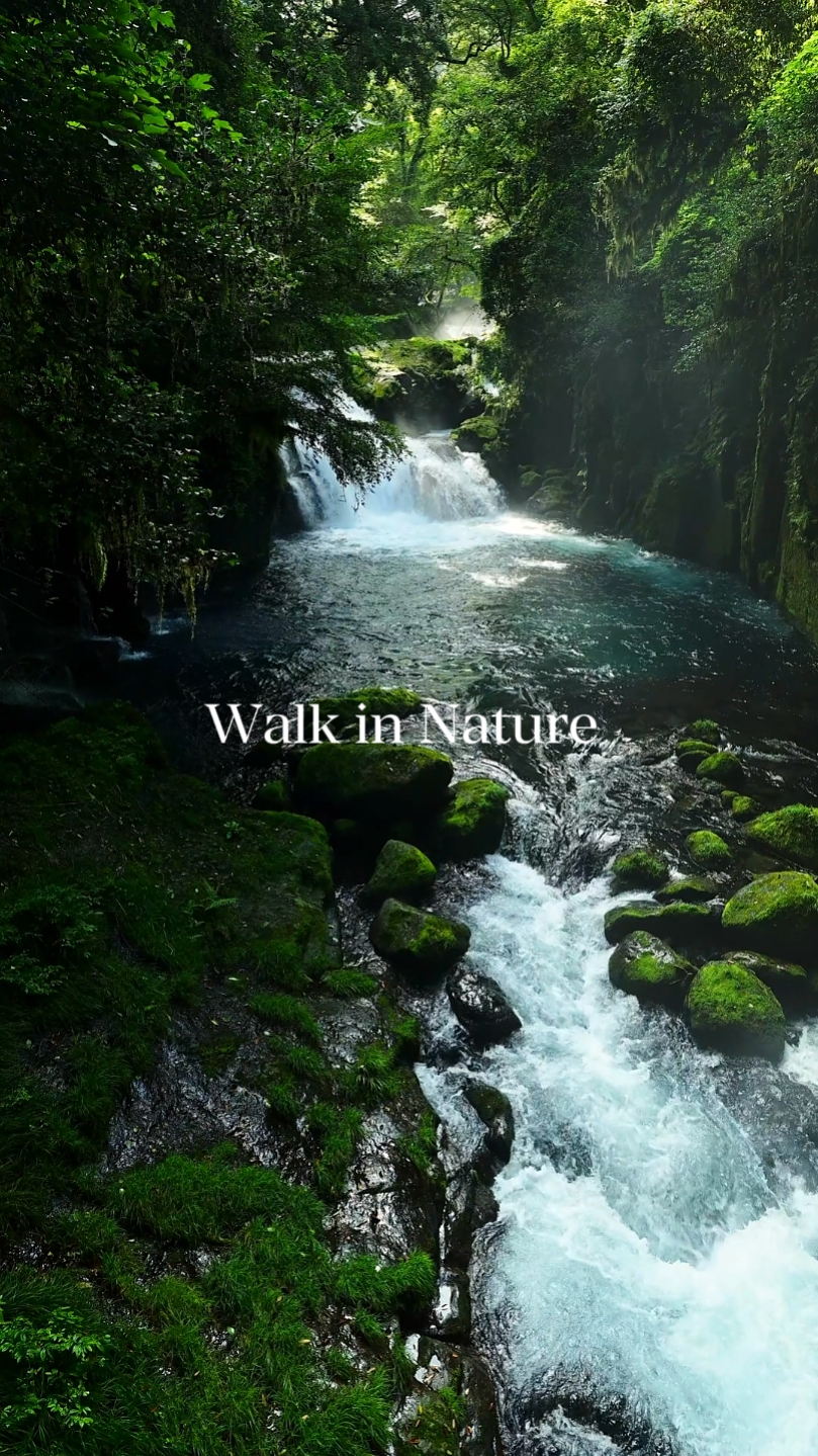 Caminar en la naturaleza