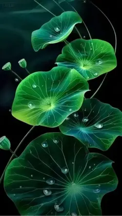 Livewallpaper 