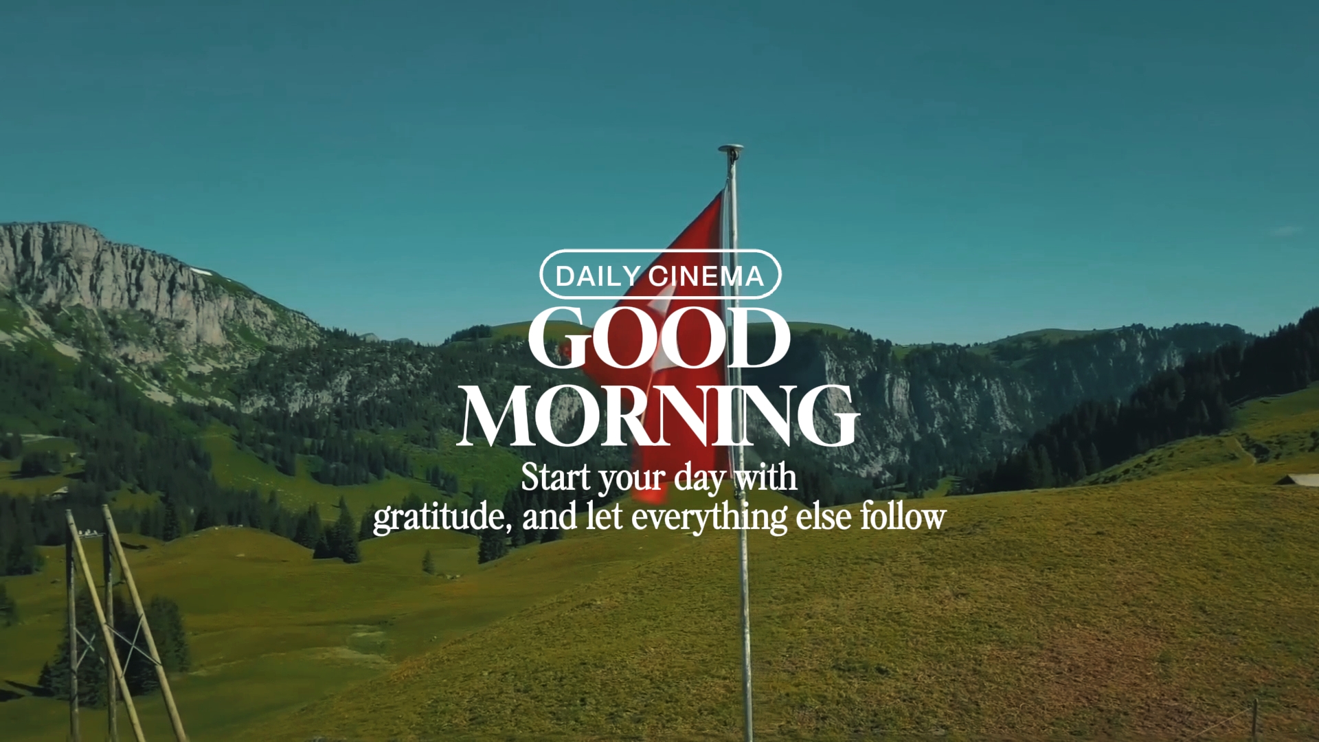DAILY CINEMA