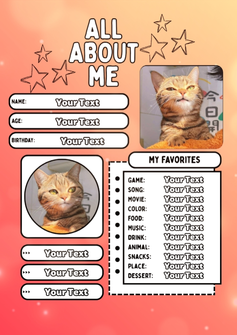 Katze 