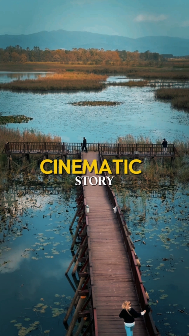 HISTORIA CINEMÁTICA