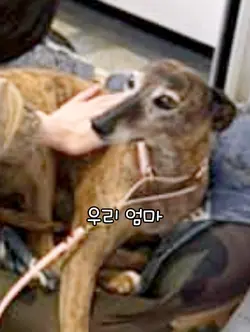 그게 바로 저에요