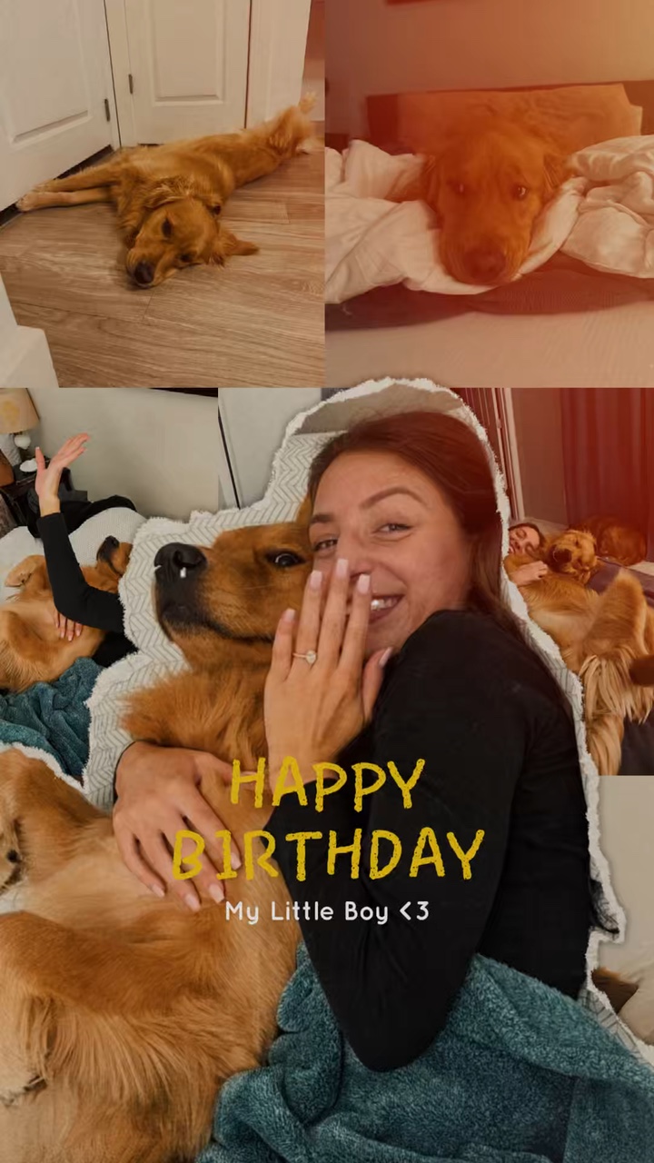 Hund Geburtstag🐶🫶