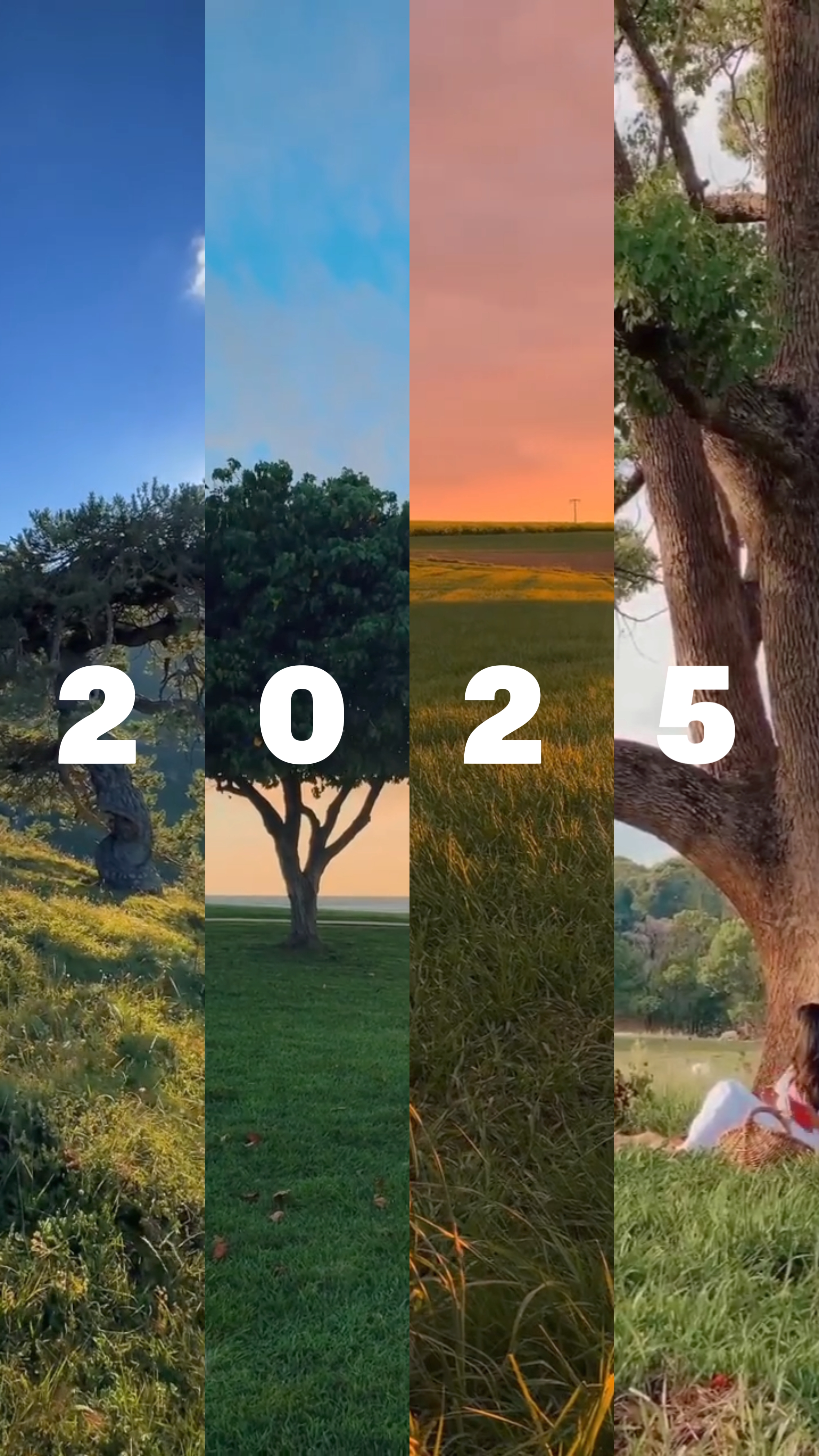 Terminar el año 