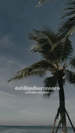 ค้างคา (still)