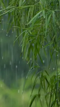 ช่วงนี้ฝนตกทุกวัน