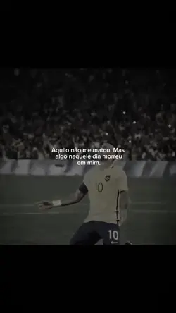 frases diária 311