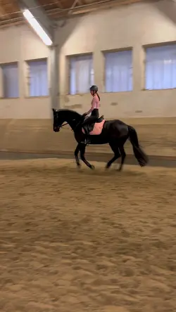 EQUESTRIAN SLOMO😻🚀