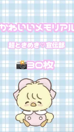 かわいいメモリアル 30枚 