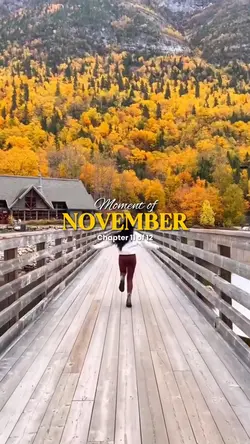 November recap