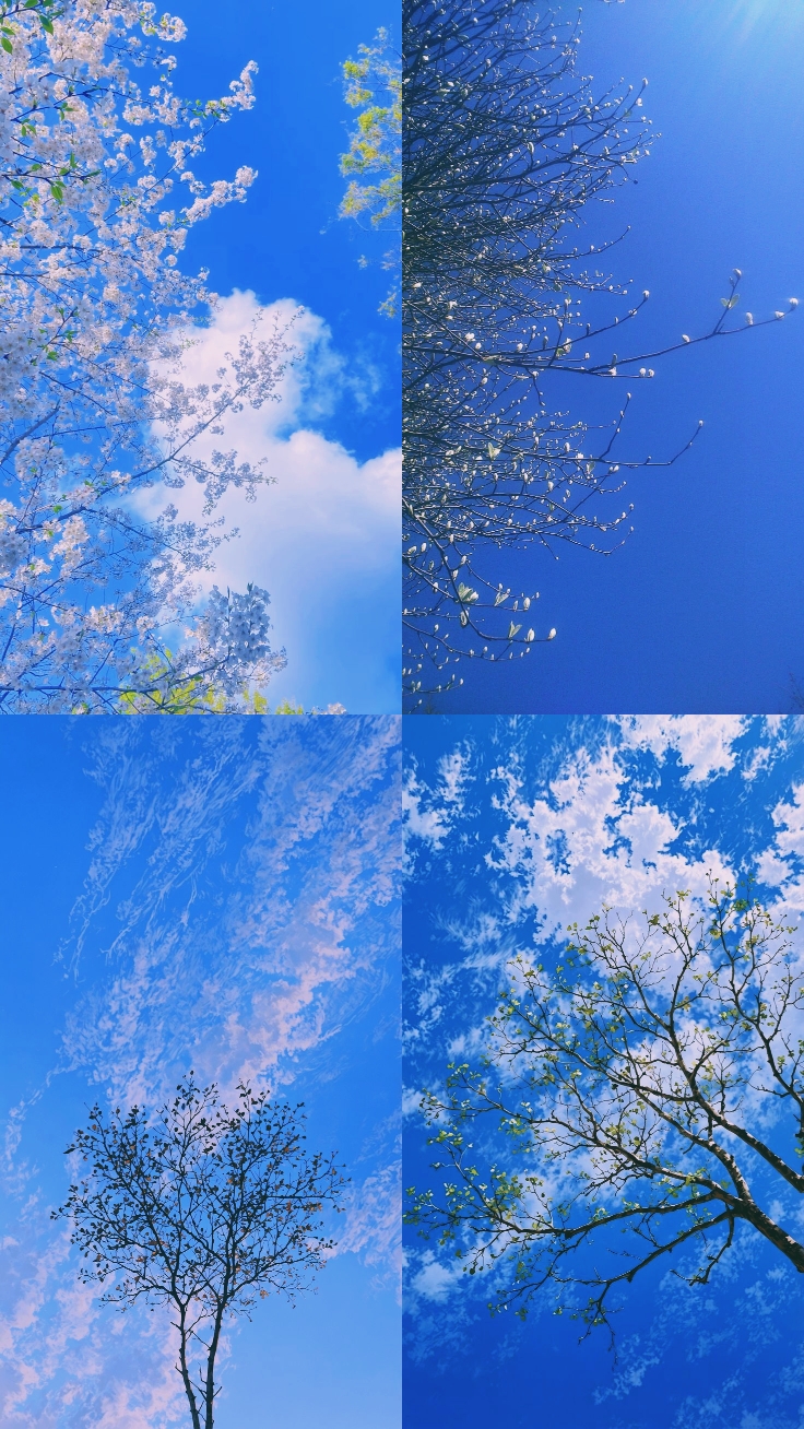 bingkai estetis 