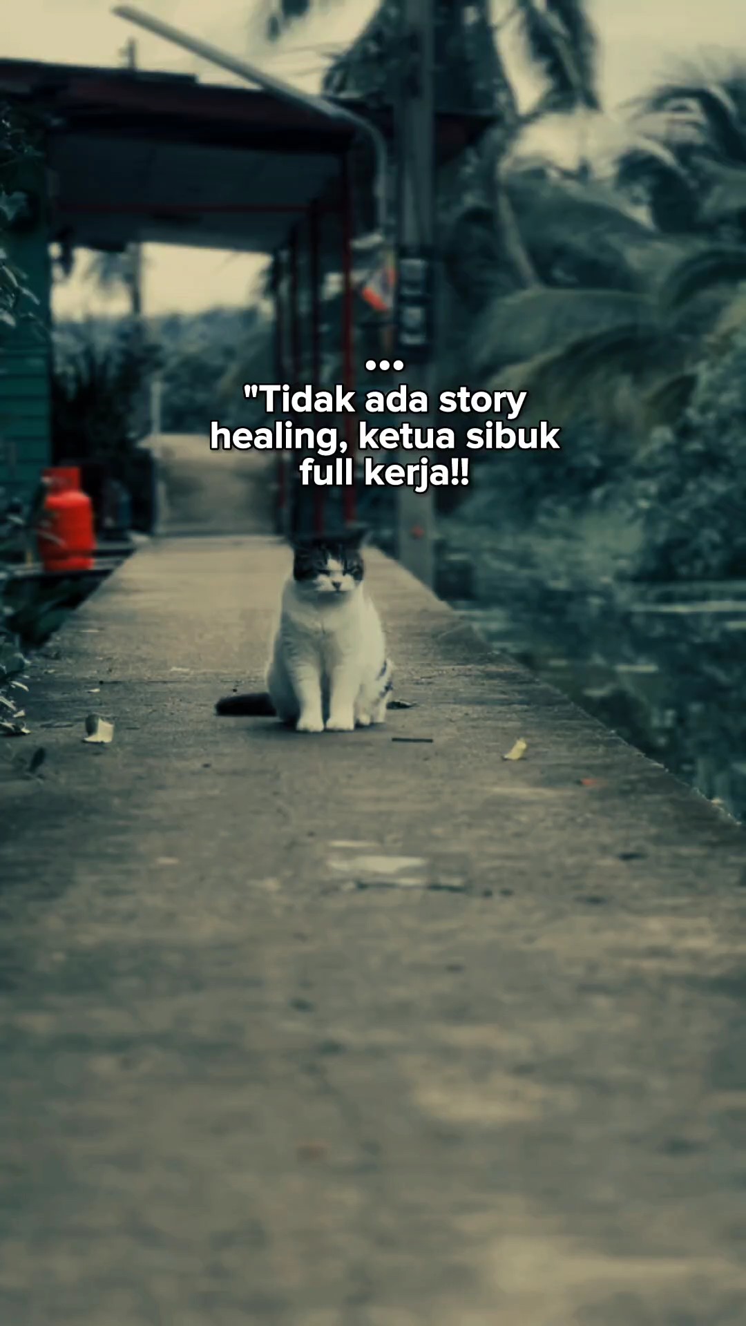 Bahan sw