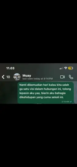 Chat seru