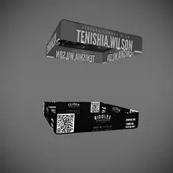 Flyer T1