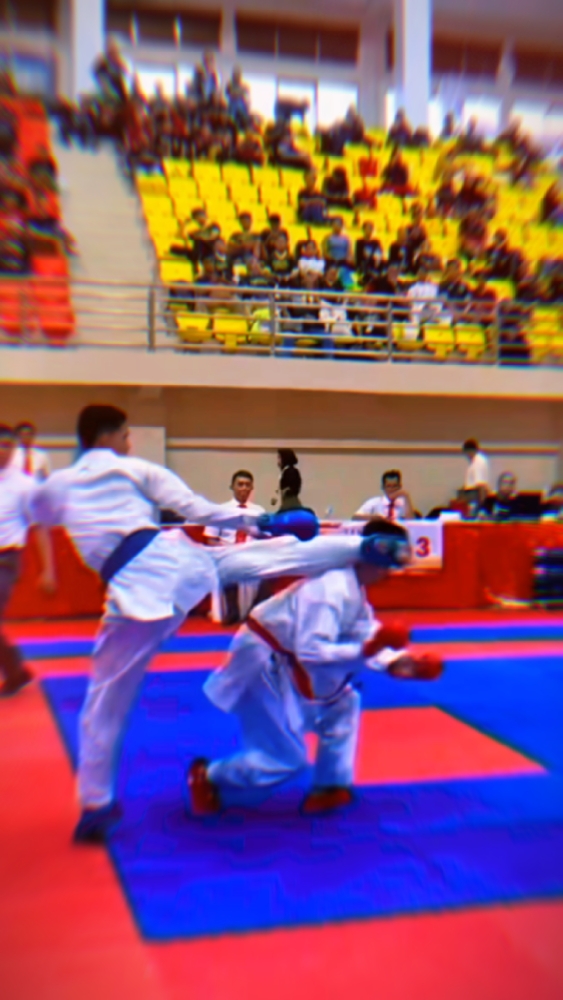CINEMATIC JJ KARATE