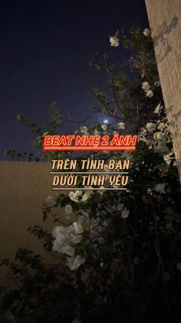 Beat Nhẹ 2 Ảnh