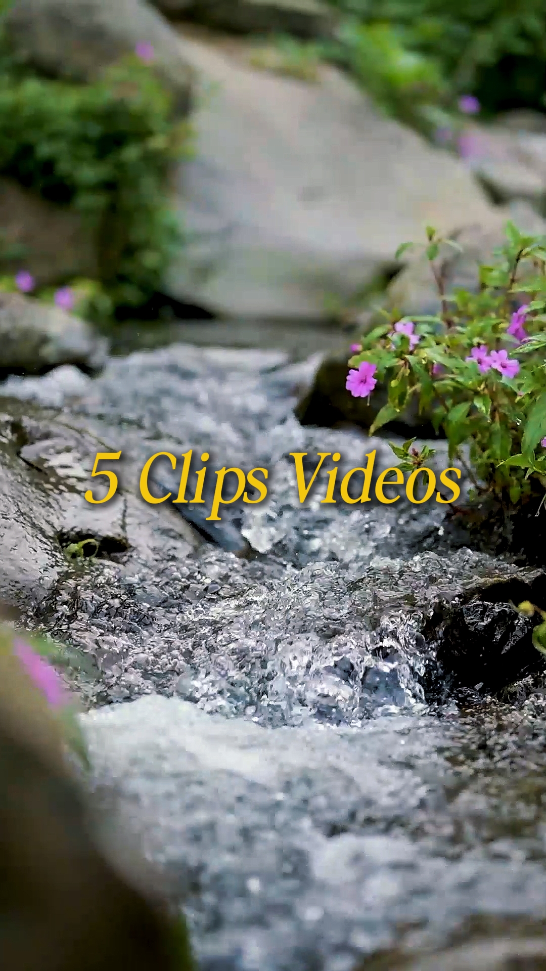 Cinématique 5 Vidéos