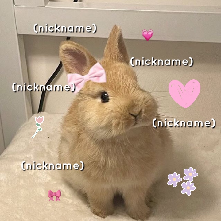 이름