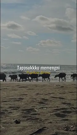 Tapassuku memengni