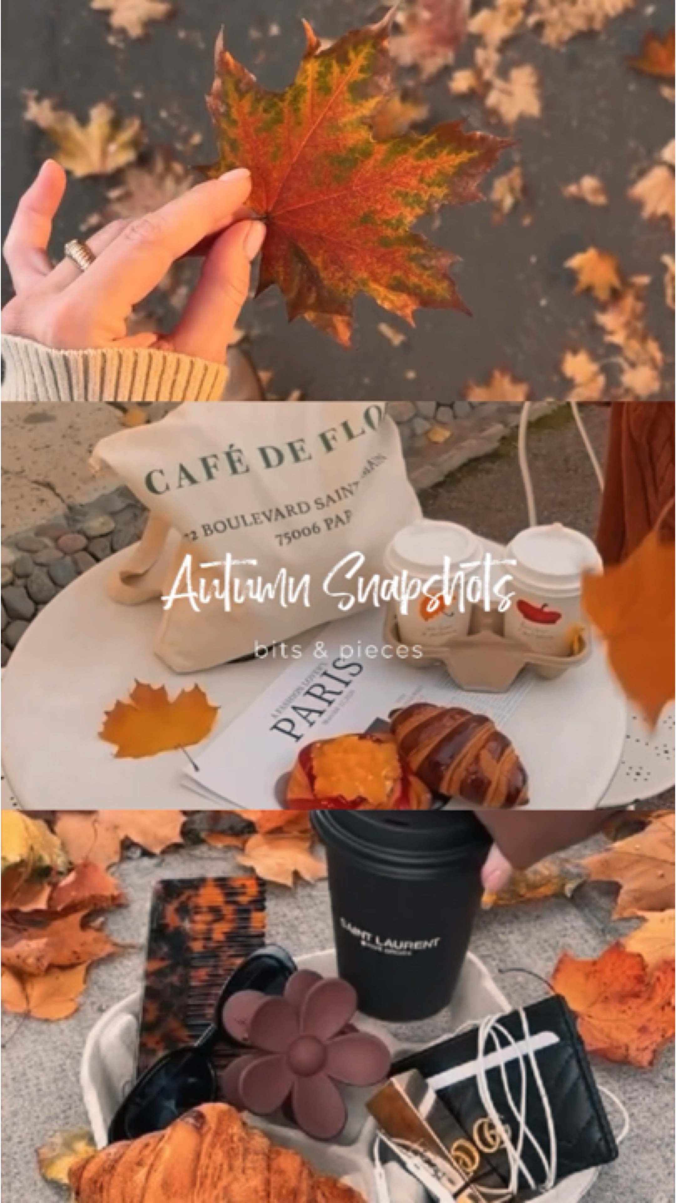 Autumn Snapshots