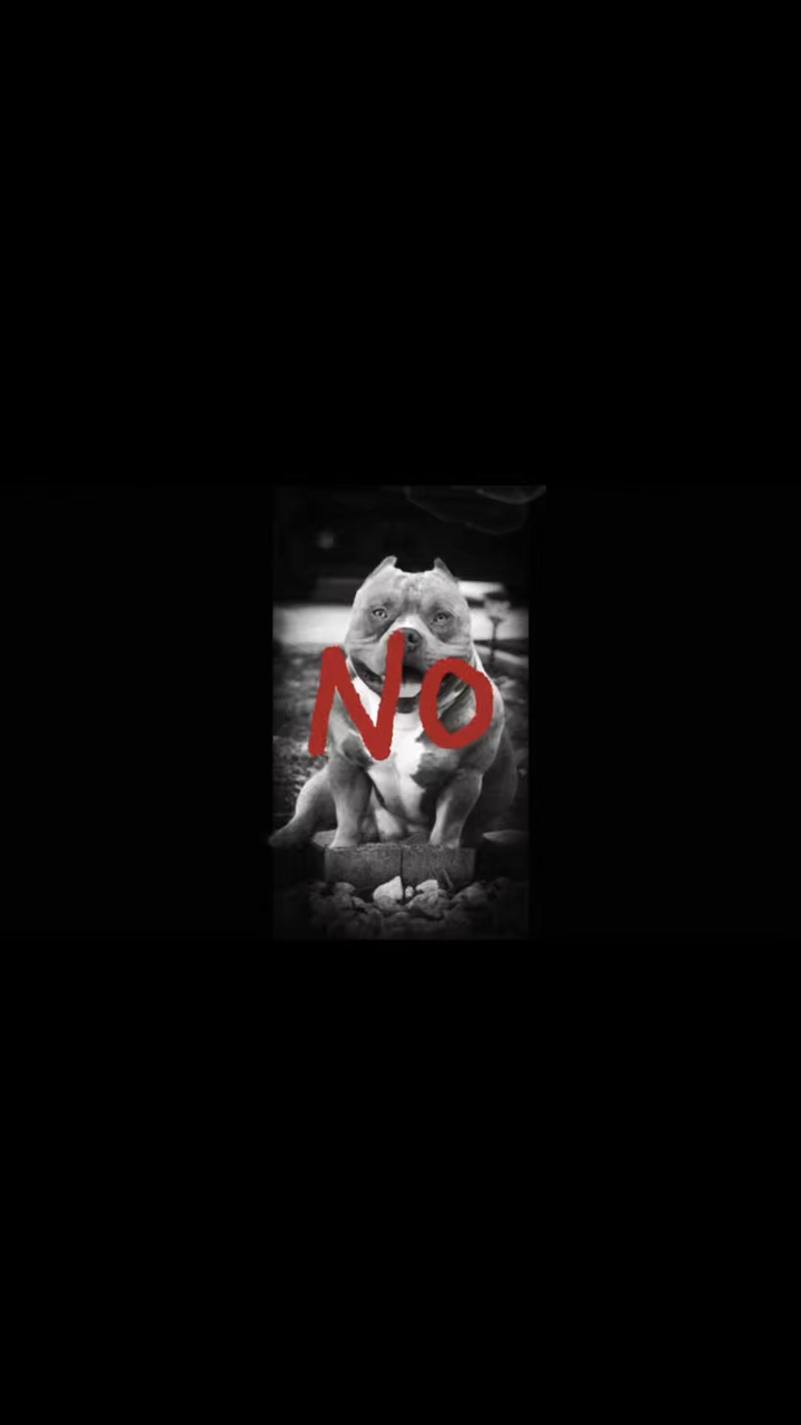 Sí o no 