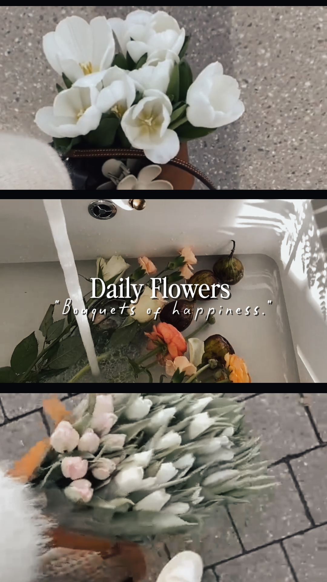 daily flowers