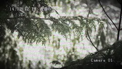 監視カメラ音ハメ