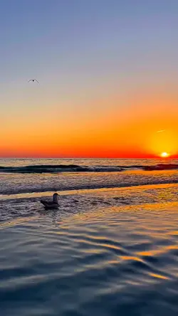 خلفيات غروب