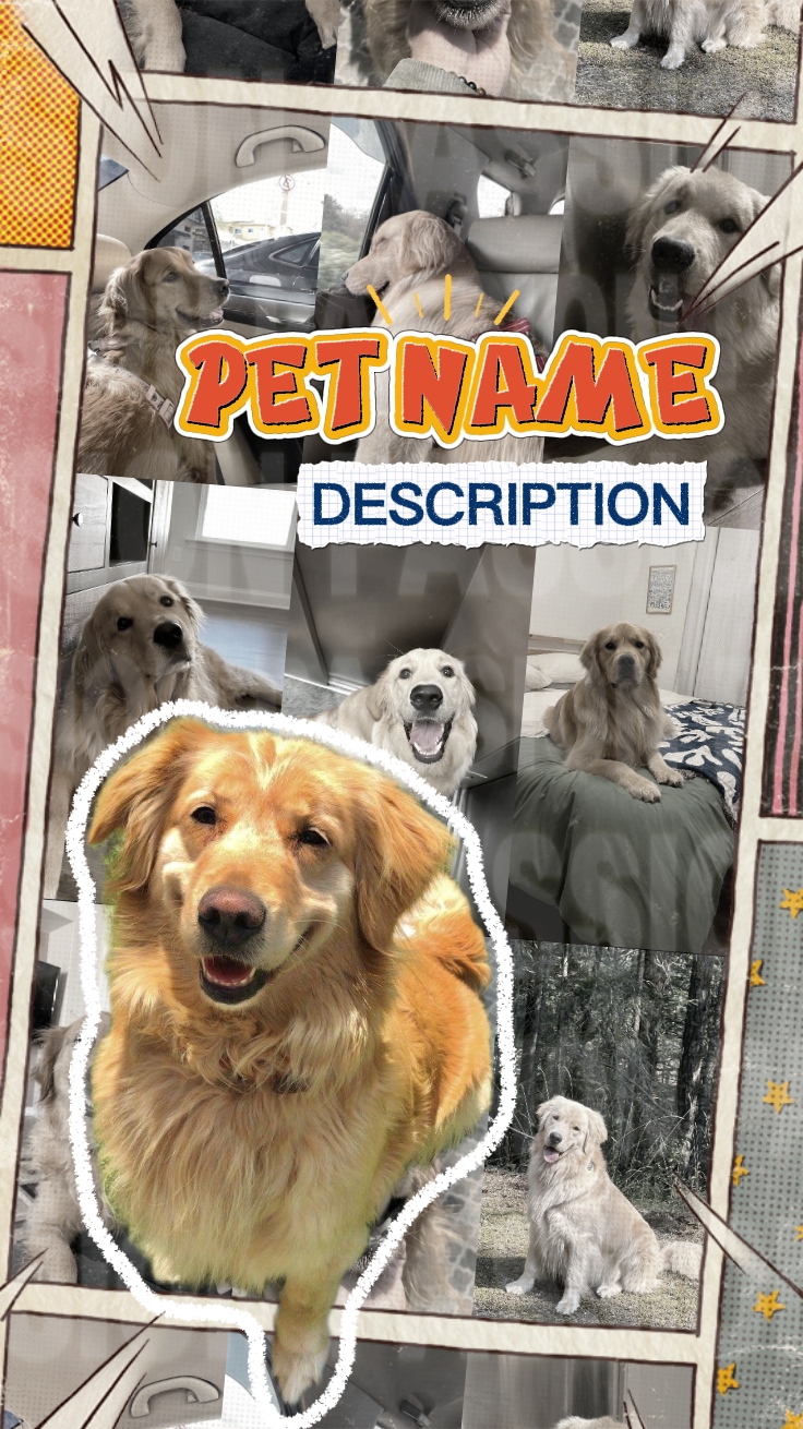 Introducción de mascotas