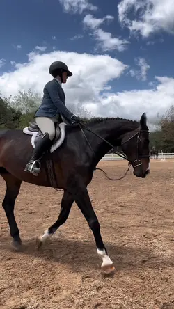 Add 1 clip | Slomo 🐎