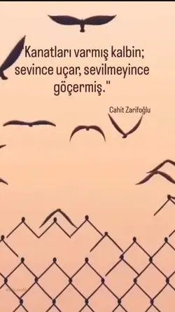 Kanatları varmış 