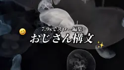 16:9 スロー編集