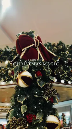 Christmas Magic🎄
