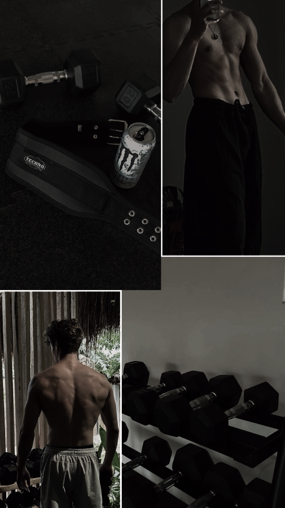 Filter gym trend