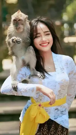 surat lamaran