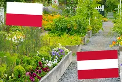 Poland vs austria