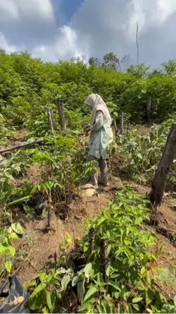 NurutkahKendak dunie