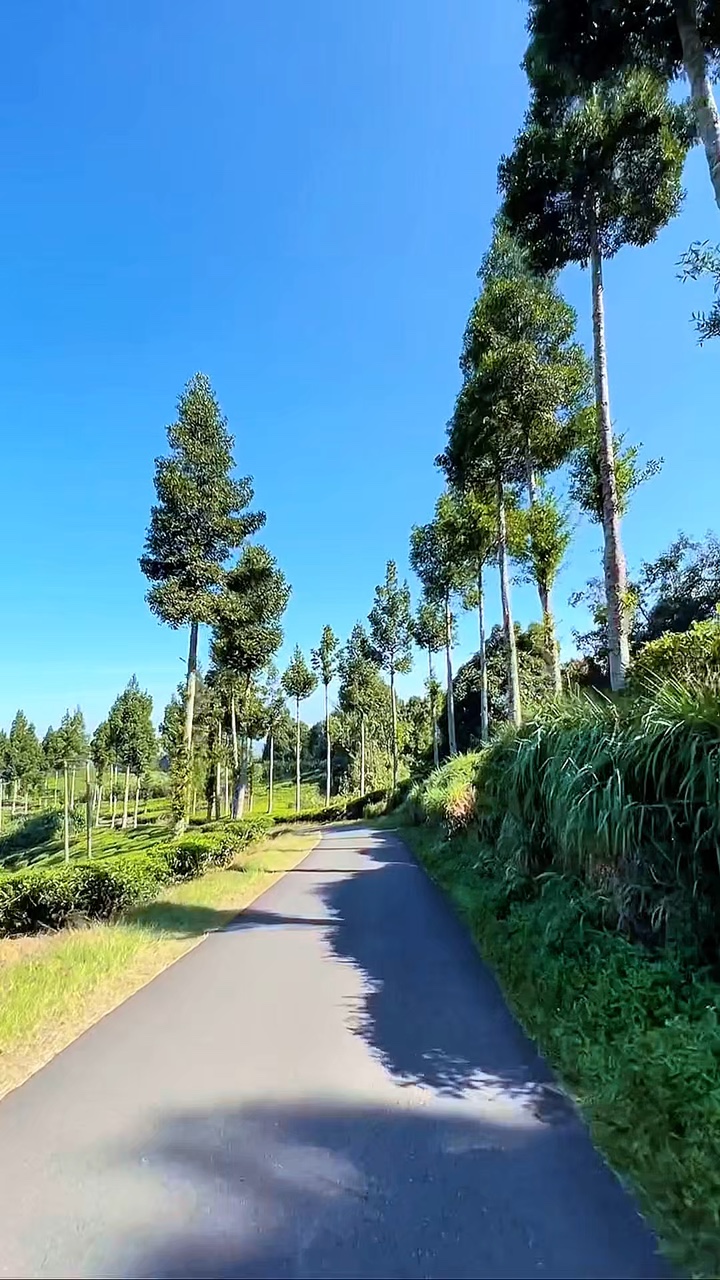 6 klip yol yolculuğu 