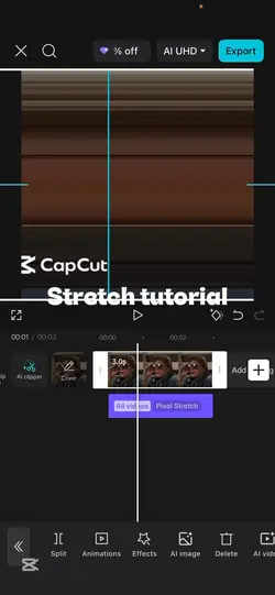 Tut