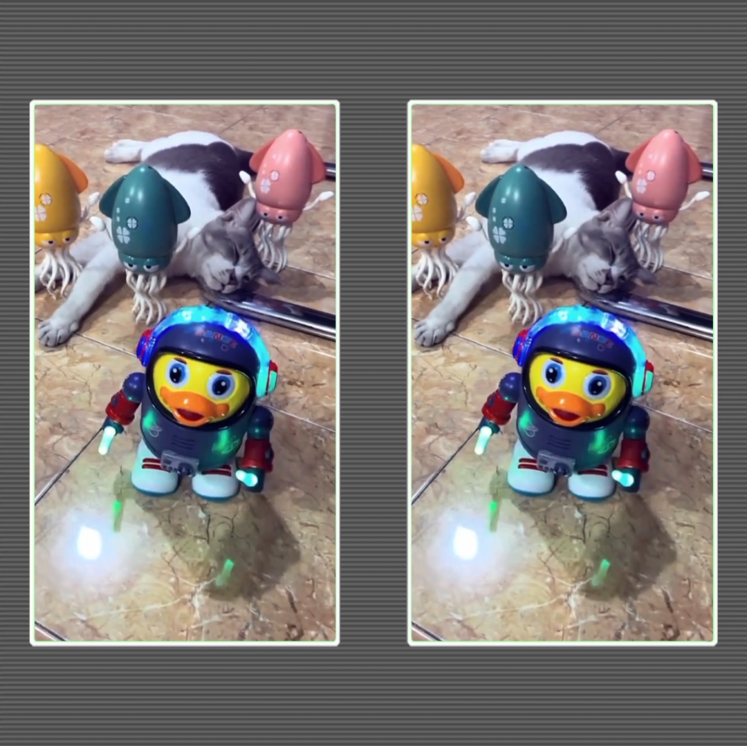 Collab Berdua