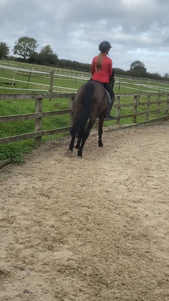 THIS RIDE WAS NOT IT