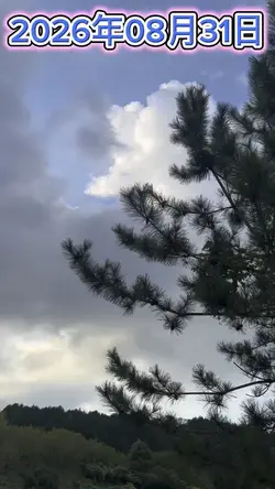 今日の天気