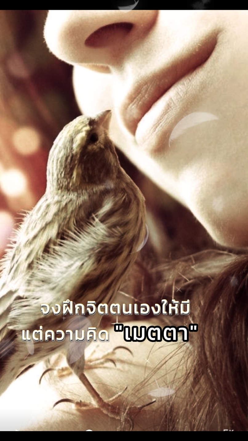 ความเมตตา