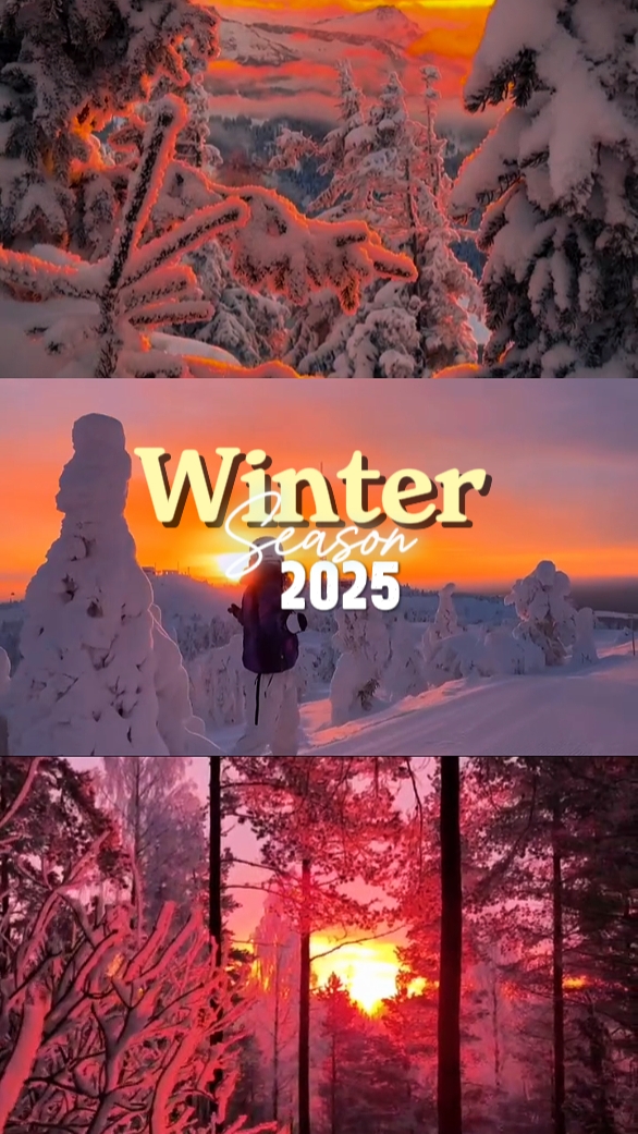 Temporada de invierno