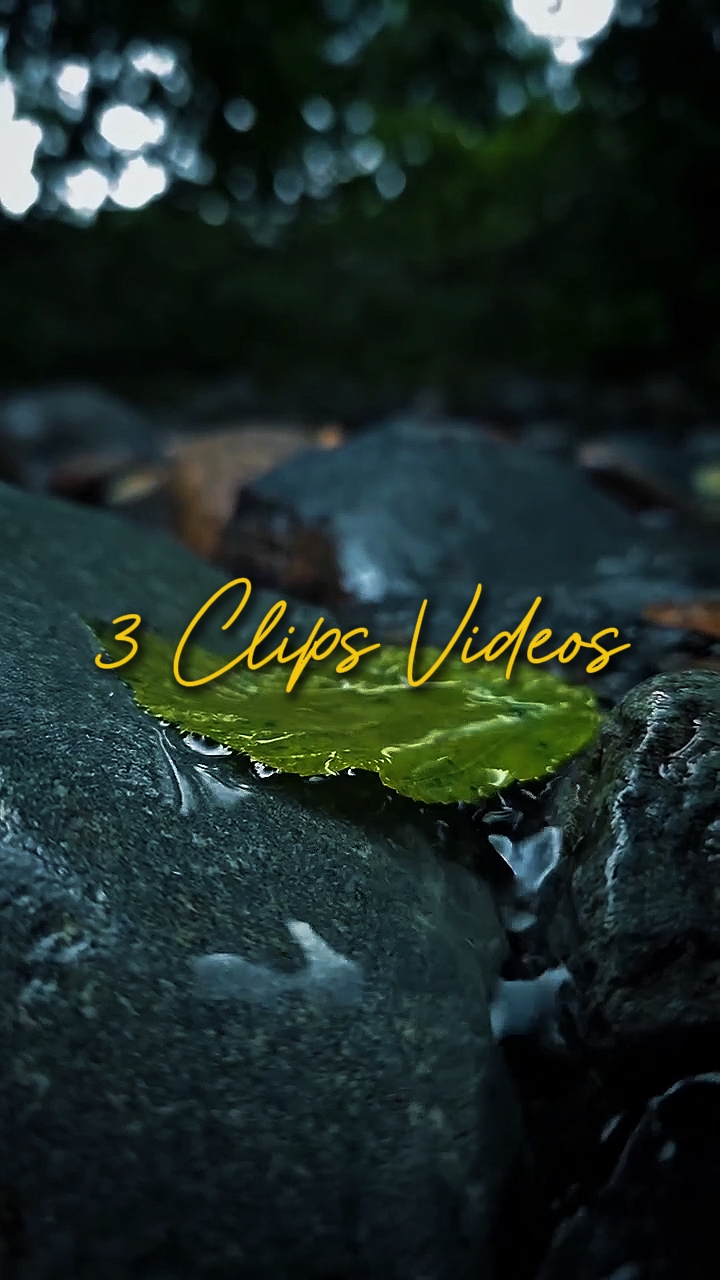 Cinematográfico 3 Vídeos