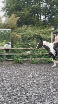 Trust your horse 