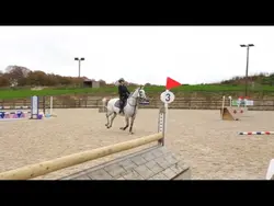 love this horse❤️😩