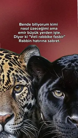 Yeni şablon