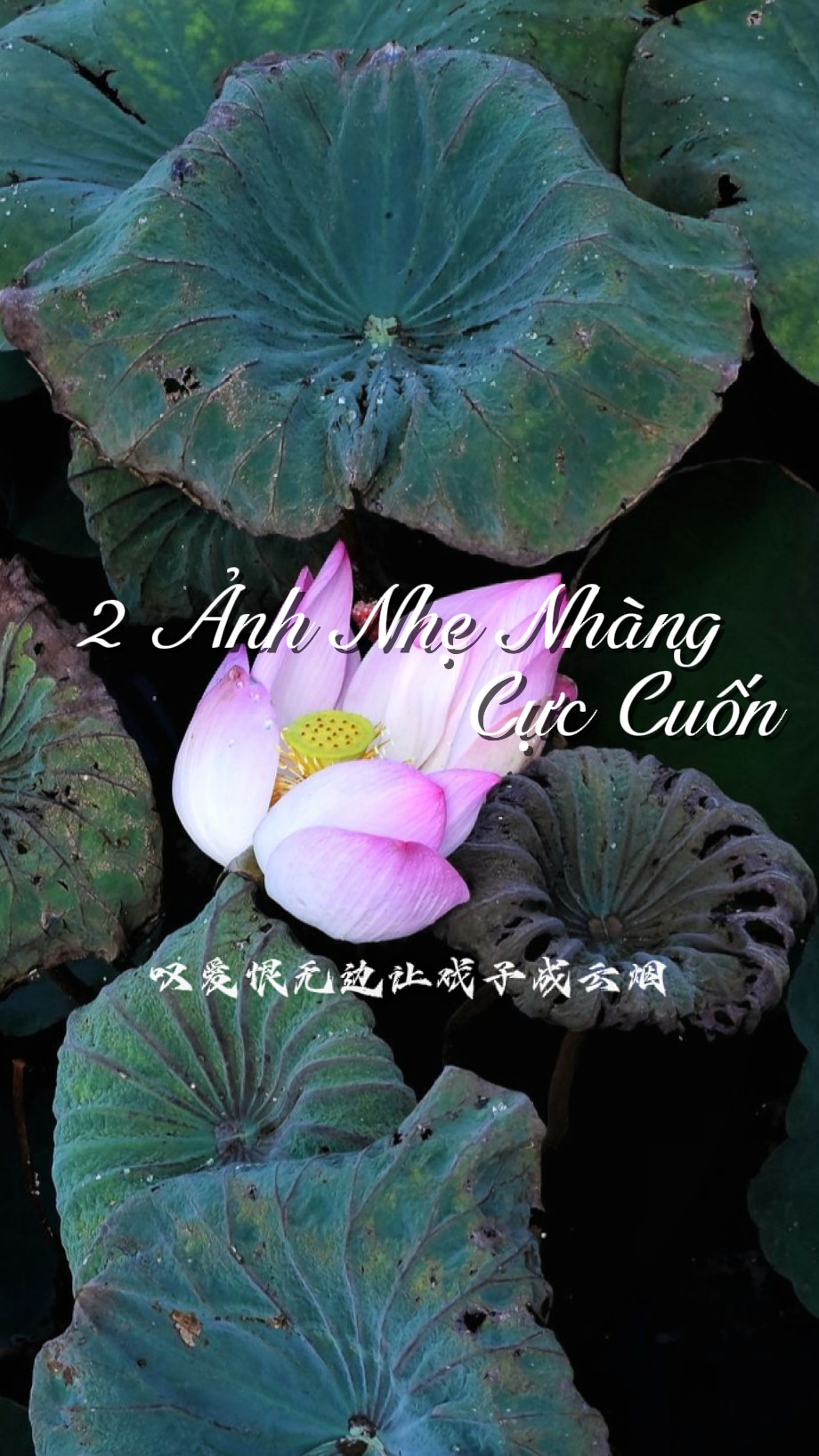 2 nh NhNhàng 